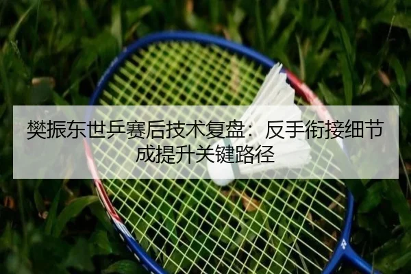 樊振东世乒赛后技术复盘：反手衔接细节成提升关键路径