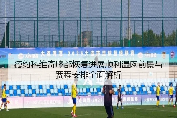 德约科维奇膝部恢复进展顺利温网前景与赛程安排全面解析